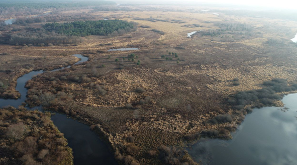 Від на стаянку зверху