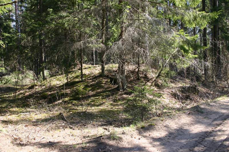 Курганны могільнік (Фота 2004 г.)