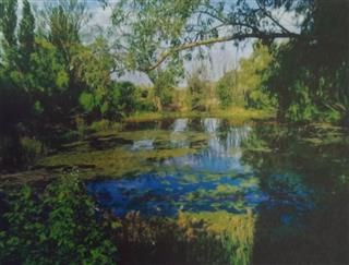 Фрагменты сядзібы "Двор": вадаём