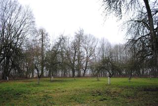 Рэшткі комплексу былой сядзібы: парк