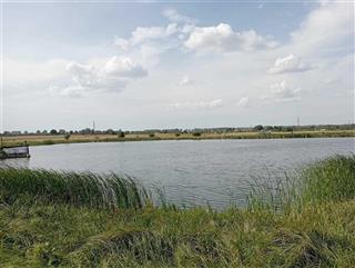 Рэшткі комплексу былой сядзібы: вадаём